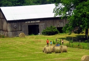 kids playing near the barn