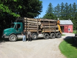 photo of large truck loaded with logs