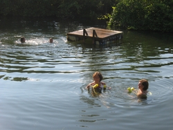 Swimming in Pond
