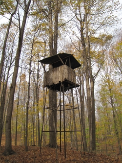 Wildlife observation tower in summer