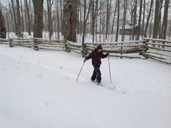 Cross Country Skiing