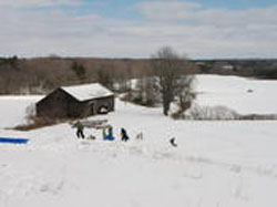 Winter Tobogganing